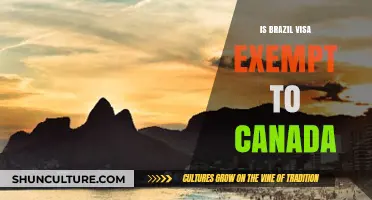 Brazil to Canada: Visa Exemption Rules and Travel Requirements