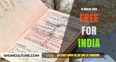 Brazil Visa Requirements for Indian Citizens: Free Entry or Not?