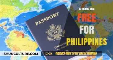 Brazil Visa Requirements for Filipinos: Is It Visa-Free Travel?