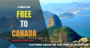 Is Brazil Visa-Free to Canada? Travel Requirements Explained
