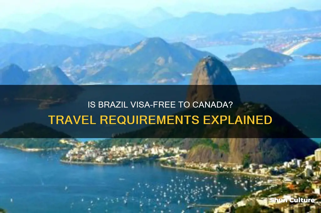 is brazil visa free to canada