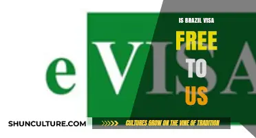 Is Brazil Visa-Free for US Citizens? Travel Requirements Explained