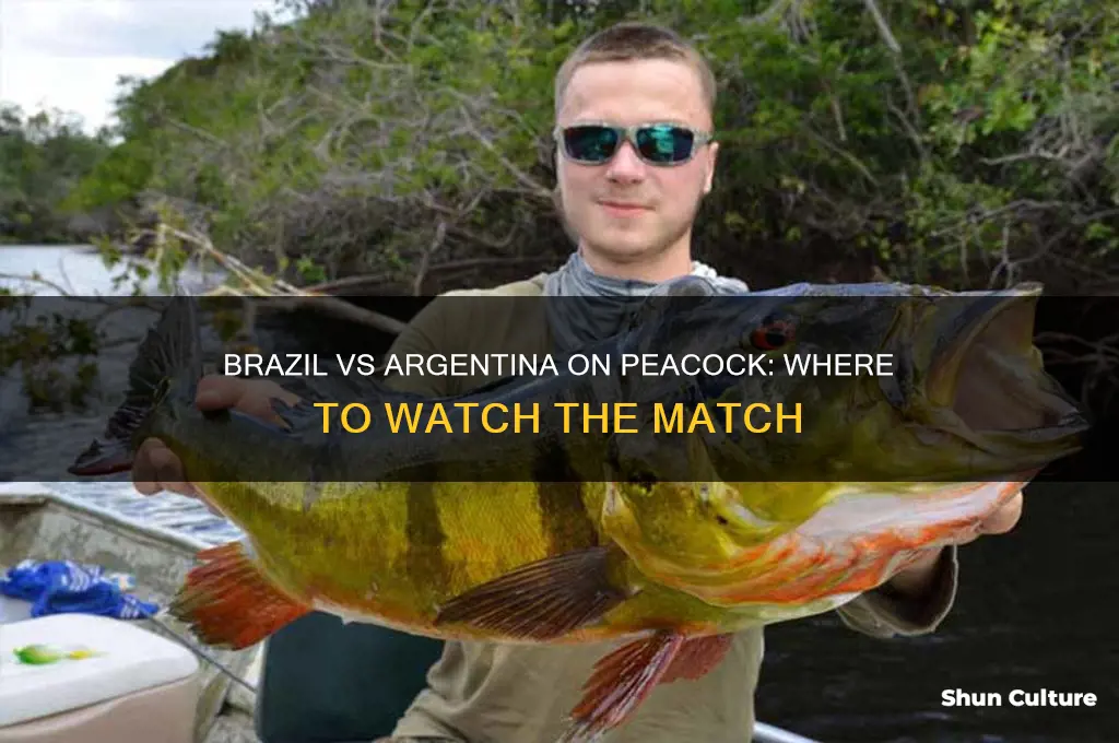 is brazil vs argentina on peacock