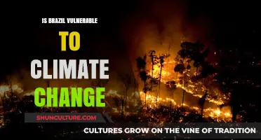 Brazil's Climate Change Vulnerability: Risks, Impacts, and Adaptation Strategies