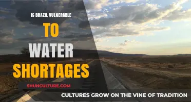 Brazil's Water Crisis: Assessing Vulnerability to Shortages and Solutions