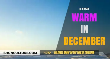 Is Brazil Warm in December? Exploring Tropical Temperatures and Weather Patterns