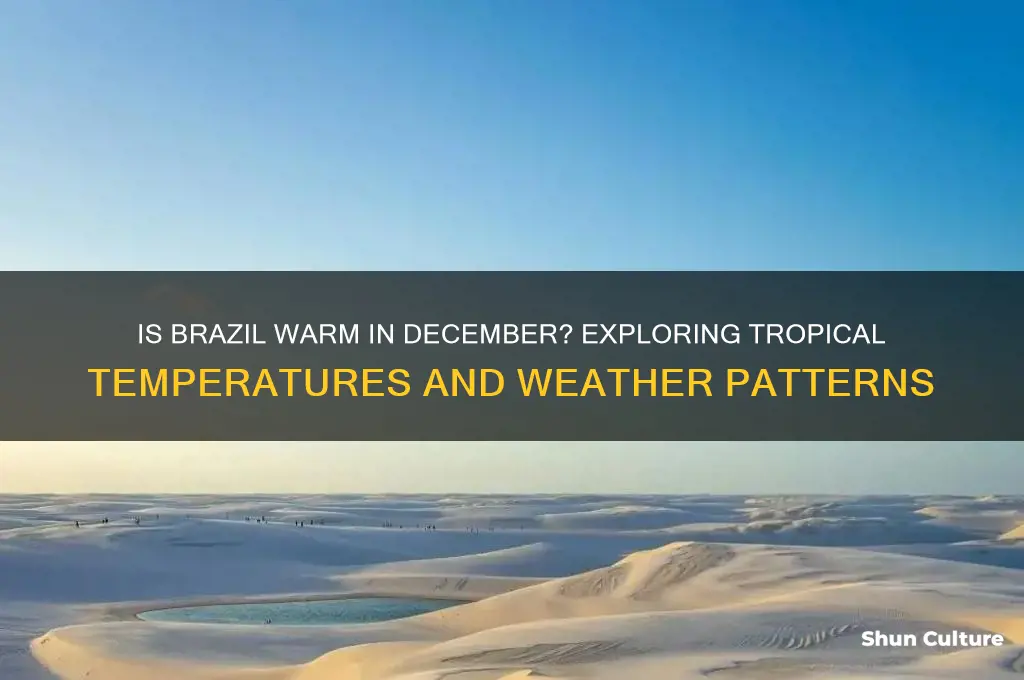 is brazil warm in december