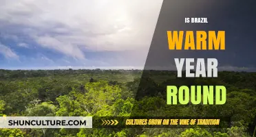 Is Brazil Warm Year-Round? Exploring Its Tropical Climate and Seasons