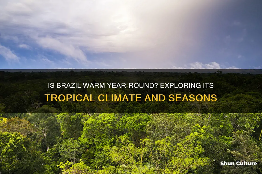 is brazil warm year round