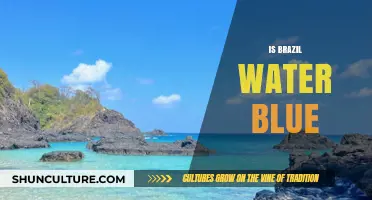 Is Brazil's Water Blue? Unveiling the Truth Behind Coastal Colors