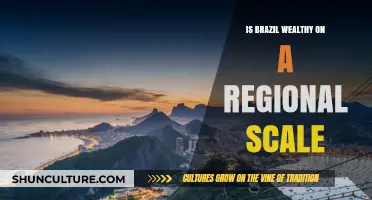 Brazil's Wealth: A Regional Powerhouse or Economic Enigma?