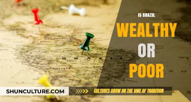 Brazil's Economy: Wealthy Nation or Struggling Giant?
