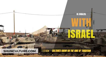 Brazil's Stance on Israel: A Complex Diplomatic Relationship Explored