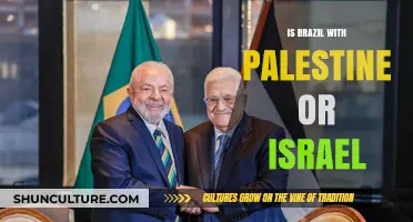 Brazil's Stance: Supporting Palestine or Israel in the Middle East Conflict?