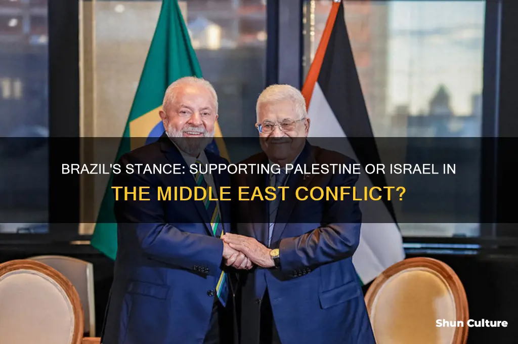 is brazil with palestine or israel