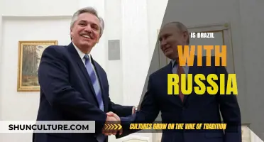Brazil and Russia: Uniting Economies, Politics, and Global Influence?