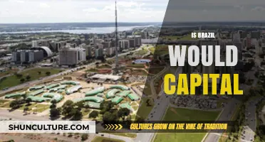 Exploring Brazil's Capital: Unraveling the Truth About Brasilia's Role