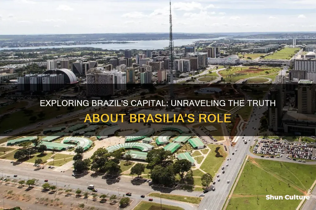 is brazil would capital