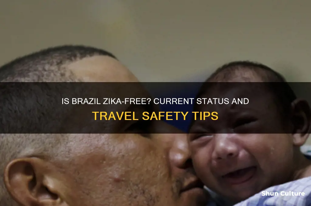is brazil zika free