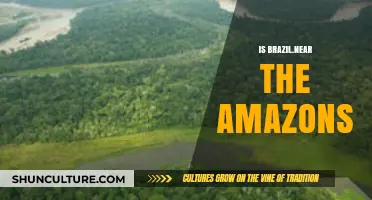 Exploring Brazil's Proximity to the Amazon Rainforest: Facts and Insights