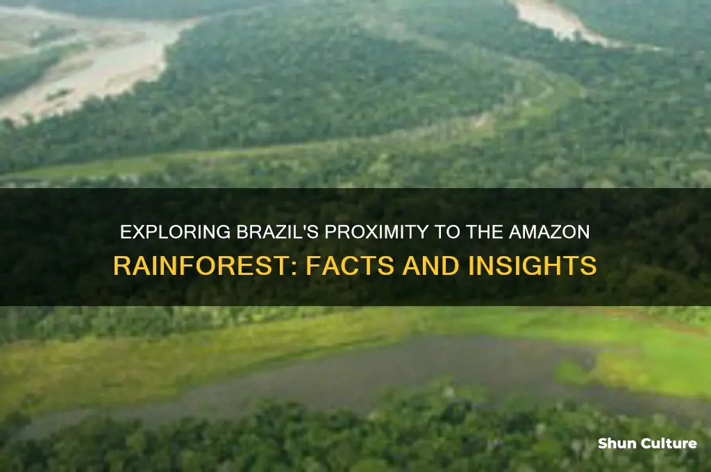 is brazil.near the amazons