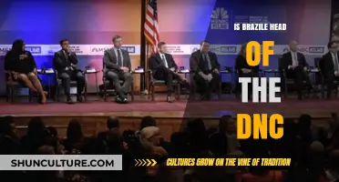 Is Brazile the DNC Chair? Unraveling the Leadership Mystery