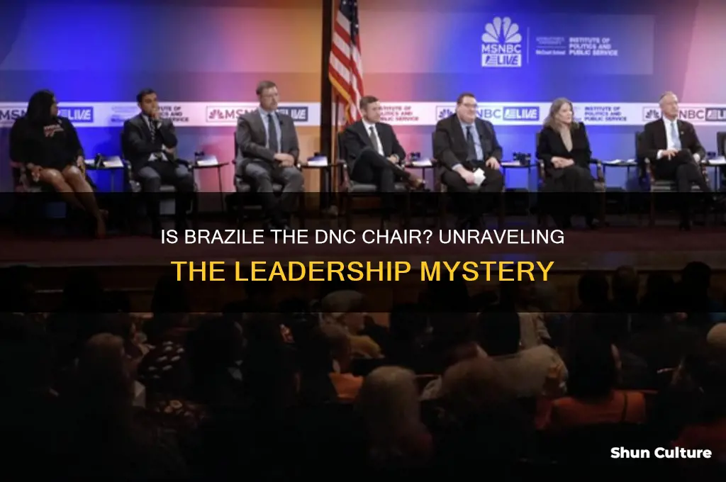 is brazile head of the dnc