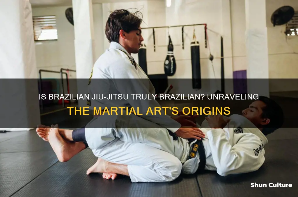 is brazilian jiu jitsu from brazil