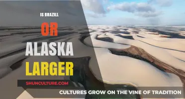 Brazil vs. Alaska: Which Territory Claims More Global Land Area?