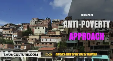 Brazil's Anti-Poverty Strategy: A Sustainable Model for Global Impact?
