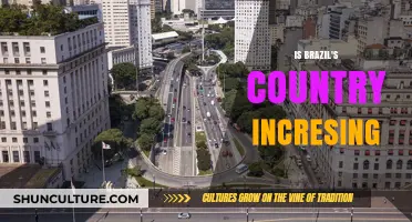 Brazil's Population Growth: Trends, Challenges, and Future Projections