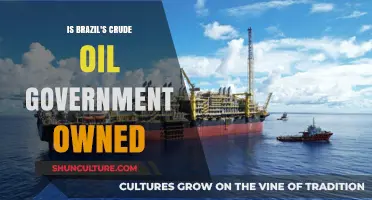 Is Brazil's Crude Oil Government-Owned? Exploring Ownership and Control