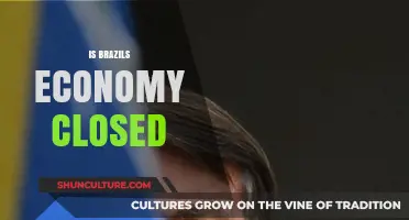 Is Brazil's Economy Closed? Analyzing Trade Policies and Global Integration