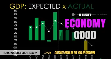 Is Brazil's Economy Strong? Analyzing Growth, Challenges, and Opportunities