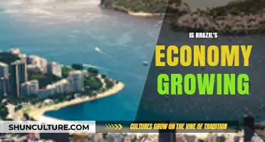 Brazil's Economic Growth: Trends, Challenges, and Future Prospects