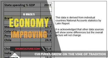 Brazil's Economic Recovery: Signs of Growth and Future Prospects