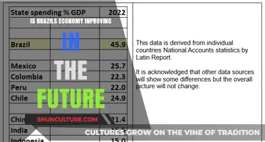 Brazil's Economic Outlook: Signs of Improvement and Future Prospects