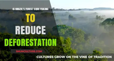 Brazil's Forest Code: Is It Failing to Curb Deforestation?