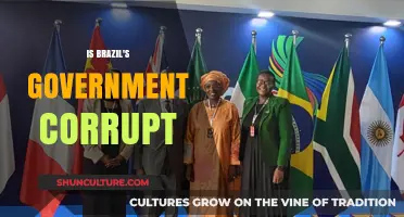 Brazil's Government Corruption: Unveiling Truths and Challenging Public Trust