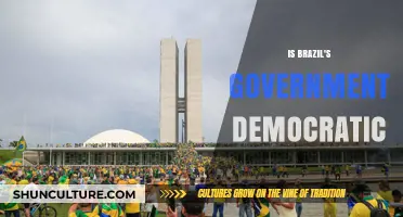 Is Brazil's Government Truly Democratic? Analyzing Its Political System