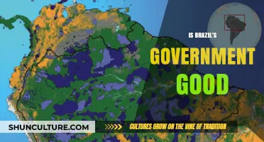 Is Brazil's Government Effective? A Critical Analysis of Policies and Impact