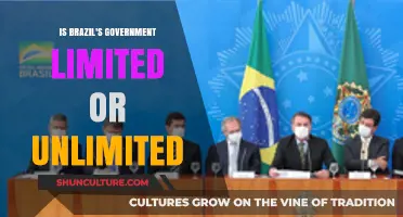 Brazil's Government: Limited or Unlimited? Exploring Its Constitutional Framework
