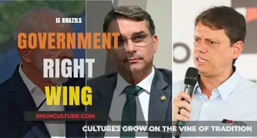 Is Brazil's Government Right-Wing? Analyzing Policies and Political Leanings