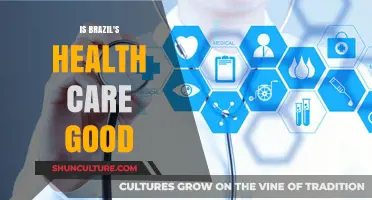 Is Brazil's Health Care System Effective? A Comprehensive Analysis