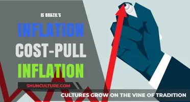 Brazil's Inflation Dilemma: Is It Cost-Pull Driven?