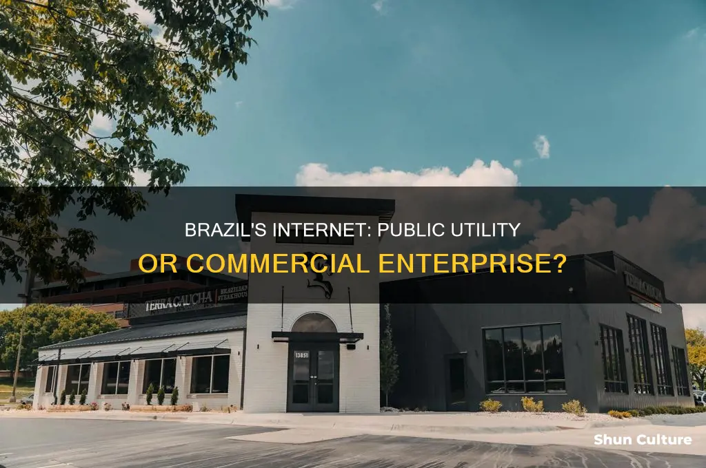 is brazils internet public or commercial