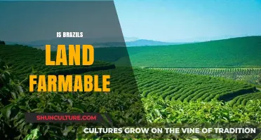 Exploring Brazil's Agricultural Potential: Is Its Land Farmable?
