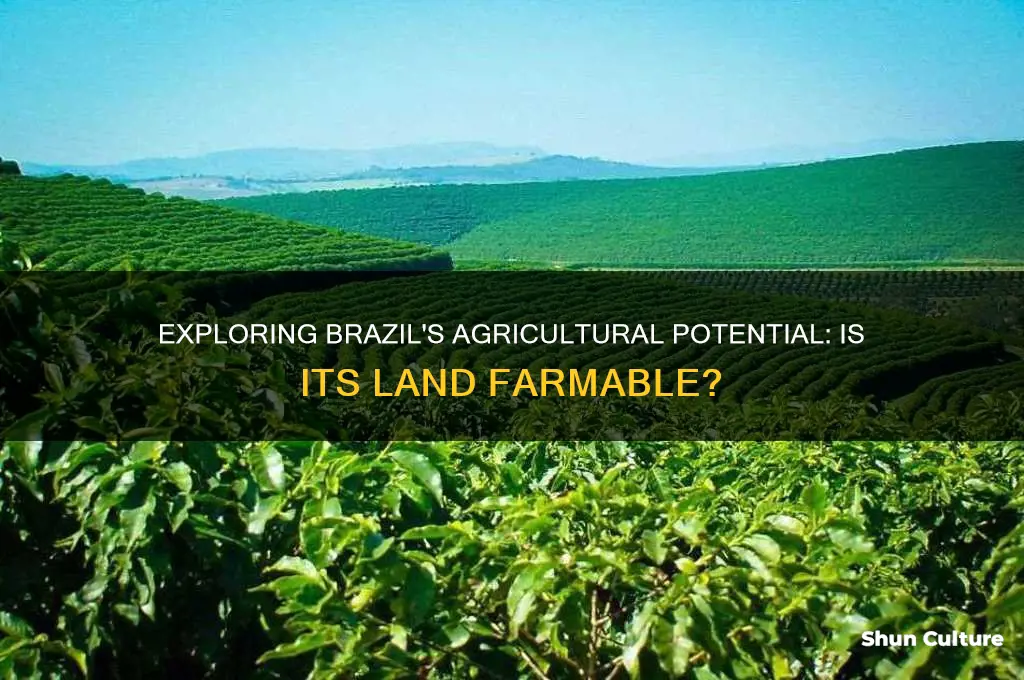 is brazils land farmable