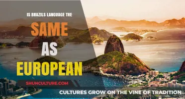 Is Brazil's Language Identical to European Portuguese? Key Differences Explained