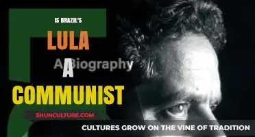 Is Brazil's Lula a Communist? Unraveling the Political Ideology